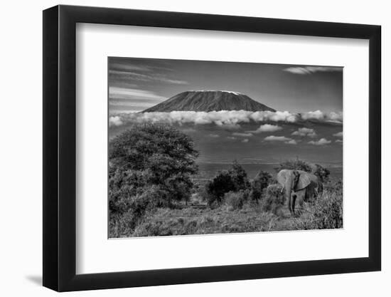 Kilimanjaro in morning with Elephant, Amboseli National Park, Africa-John Wilson-Framed Photographic Print