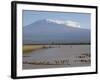 Kilimanjaro Ostriches-Charles Bowman-Framed Photographic Print