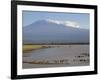 Kilimanjaro Ostriches-Charles Bowman-Framed Photographic Print