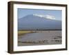Kilimanjaro Ostriches-Charles Bowman-Framed Photographic Print