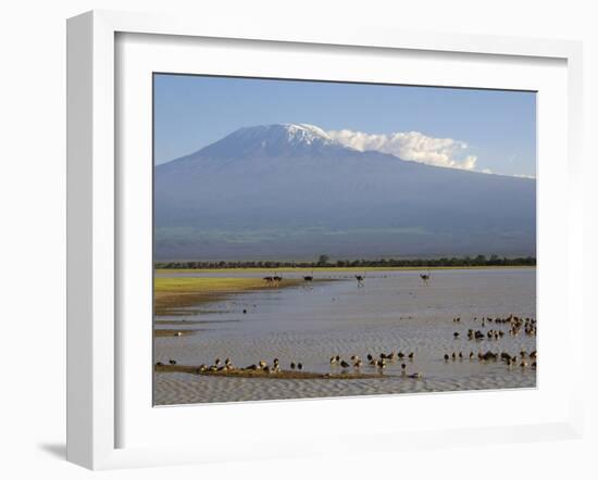 Kilimanjaro Ostriches-Charles Bowman-Framed Photographic Print