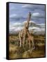 Kilimanjaro Pair-Trevor V. Swanson-Framed Stretched Canvas