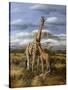 Kilimanjaro Pair-Trevor V. Swanson-Stretched Canvas