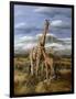 Kilimanjaro Pair-Trevor V. Swanson-Framed Giclee Print