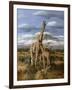 Kilimanjaro Pair-Trevor V. Swanson-Framed Giclee Print