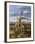 Kilimanjaro Pair-Trevor V. Swanson-Framed Giclee Print