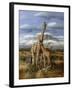 Kilimanjaro Pair-Trevor V. Swanson-Framed Giclee Print