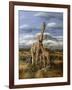 Kilimanjaro Pair-Trevor V. Swanson-Framed Giclee Print