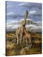 Kilimanjaro Pair-Trevor V. Swanson-Stretched Canvas