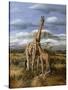 Kilimanjaro Pair-Trevor V. Swanson-Stretched Canvas