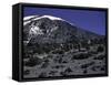 Kilimanjaro's Summit, Kilimanjaro-Michael Brown-Framed Stretched Canvas