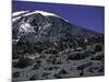 Kilimanjaro's Summit, Kilimanjaro-Michael Brown-Mounted Photographic Print