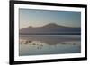 Kilimanjaro-Charles Bowman-Framed Photographic Print