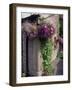 Kilkenny Design Ctr, Craft Shed, Ire-Mark Polott-Framed Photographic Print