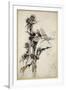 Kill Me a Red-Hipped Humble-Bee on the Top of a Thistle-Arthur Rackham-Framed Giclee Print