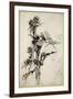 Kill Me a Red-Hipped Humble-Bee on the Top of a Thistle-Arthur Rackham-Framed Giclee Print