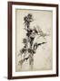 Kill Me a Red-Hipped Humble-Bee on the Top of a Thistle-Arthur Rackham-Framed Giclee Print