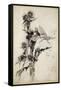 Kill Me a Red-Hipped Humble-Bee on the Top of a Thistle-Arthur Rackham-Framed Stretched Canvas