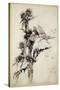 Kill Me a Red-Hipped Humble-Bee on the Top of a Thistle-Arthur Rackham-Stretched Canvas