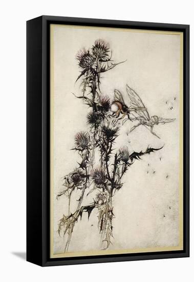 Kill Me a Red-Hipped Humble-Bee on the Top of a Thistle-Arthur Rackham-Framed Stretched Canvas
