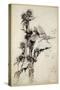 Kill Me a Red-Hipped Humble-Bee on the Top of a Thistle-Arthur Rackham-Stretched Canvas