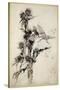 Kill Me a Red-Hipped Humble-Bee on the Top of a Thistle-Arthur Rackham-Stretched Canvas