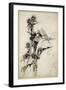 Kill Me a Red-Hipped Humble-Bee on the Top of a Thistle-Arthur Rackham-Framed Giclee Print