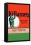 Killarney Imitation Orange-null-Framed Stretched Canvas