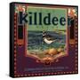 Killdeer Brand - Glendora, California - Citrus Crate Label-Lantern Press-Framed Stretched Canvas