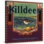 Killdeer Brand - Glendora, California - Citrus Crate Label-Lantern Press-Stretched Canvas