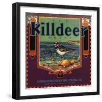 Killdeer Brand - Glendora, California - Citrus Crate Label-Lantern Press-Framed Art Print