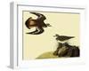 Killdeer-John James Audubon-Framed Giclee Print