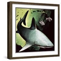 Killer Shark-English School-Framed Giclee Print