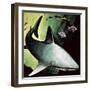 Killer Shark-English School-Framed Giclee Print