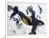 Killer Whale of a Tale-Lauren Moss-Framed Giclee Print