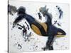 Killer Whale of a Tale-Lauren Moss-Stretched Canvas