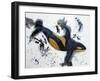 Killer Whale of a Tale-Lauren Moss-Framed Giclee Print