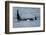 Killer whale or orca pod (Orcinus orca), Resurrection Bay, Kenai Fjords National Park, Alaska, USA.-Michael DeFreitas-Framed Photographic Print