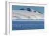 Killer whale (orca) (Orcinus orca), Weddell, Sea, Antarctica, Polar Regions-Michael Runkel-Framed Photographic Print