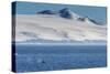 Killer whale (orca) (Orcinus orca), Weddell, Sea, Antarctica, Polar Regions-Michael Runkel-Stretched Canvas