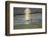 Killer Whale-DLILLC-Framed Photographic Print