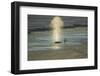 Killer Whale-DLILLC-Framed Photographic Print