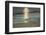 Killer Whale-DLILLC-Framed Photographic Print