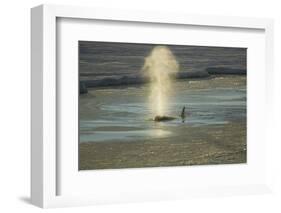 Killer Whale-DLILLC-Framed Photographic Print