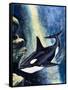 Killer Whale-G. W Backhouse-Framed Stretched Canvas