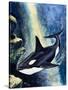 Killer Whale-G. W Backhouse-Stretched Canvas