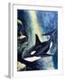 Killer Whale-G. W Backhouse-Framed Giclee Print