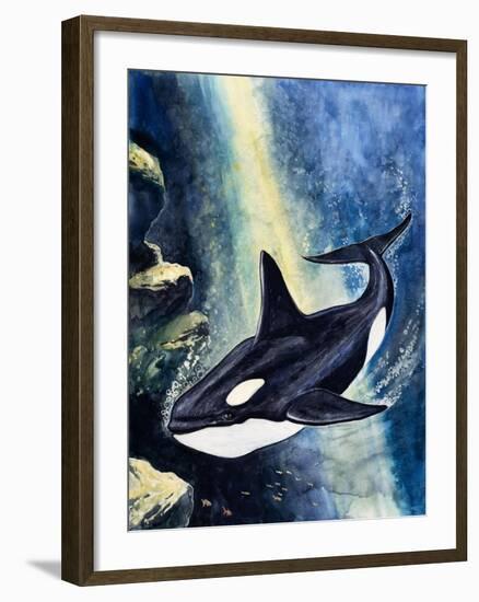 Killer Whale-G. W Backhouse-Framed Giclee Print