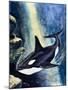 Killer Whale-G. W Backhouse-Mounted Giclee Print