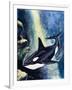 Killer Whale-G. W Backhouse-Framed Giclee Print